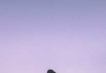 일상 속 손쉬운 스트레칭, 건강을 챙기는 비밀 루틴 silhouette of woman doing yoga