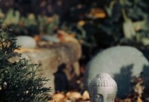 “여성 건강, 변화하는 트렌드 속 작은 실천으로 지킨다” white ceramic buddha figurine on brown dried leaves