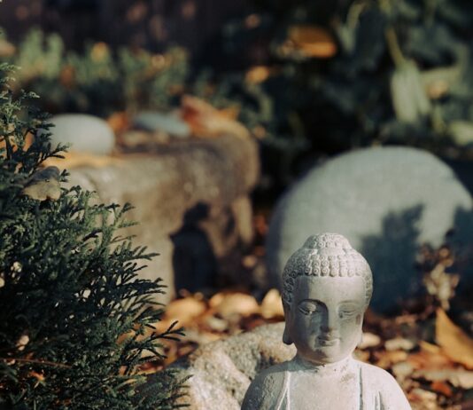 “여성 건강, 변화하는 트렌드 속 작은 실천으로 지킨다” white ceramic buddha figurine on brown dried leaves