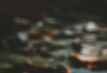 “마음 건강, 작은 습관이 지킨다…일상 속 실천법 주목받아” pink and white lotus flower