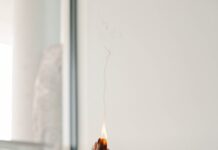 대체요법, 건강관리의 새로운 흐름…일상 속 활용법은? person holding orange flower in front of white wall