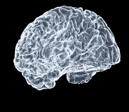 일상 속 뇌건강 지키기, 실천 가능한 뇌 활력 루틴 a close up of a human brain on a black background